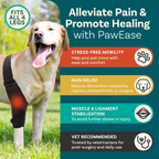 Adjustable Dog Knee Brace – Joint Support for Recovery, Stability & Daily Use