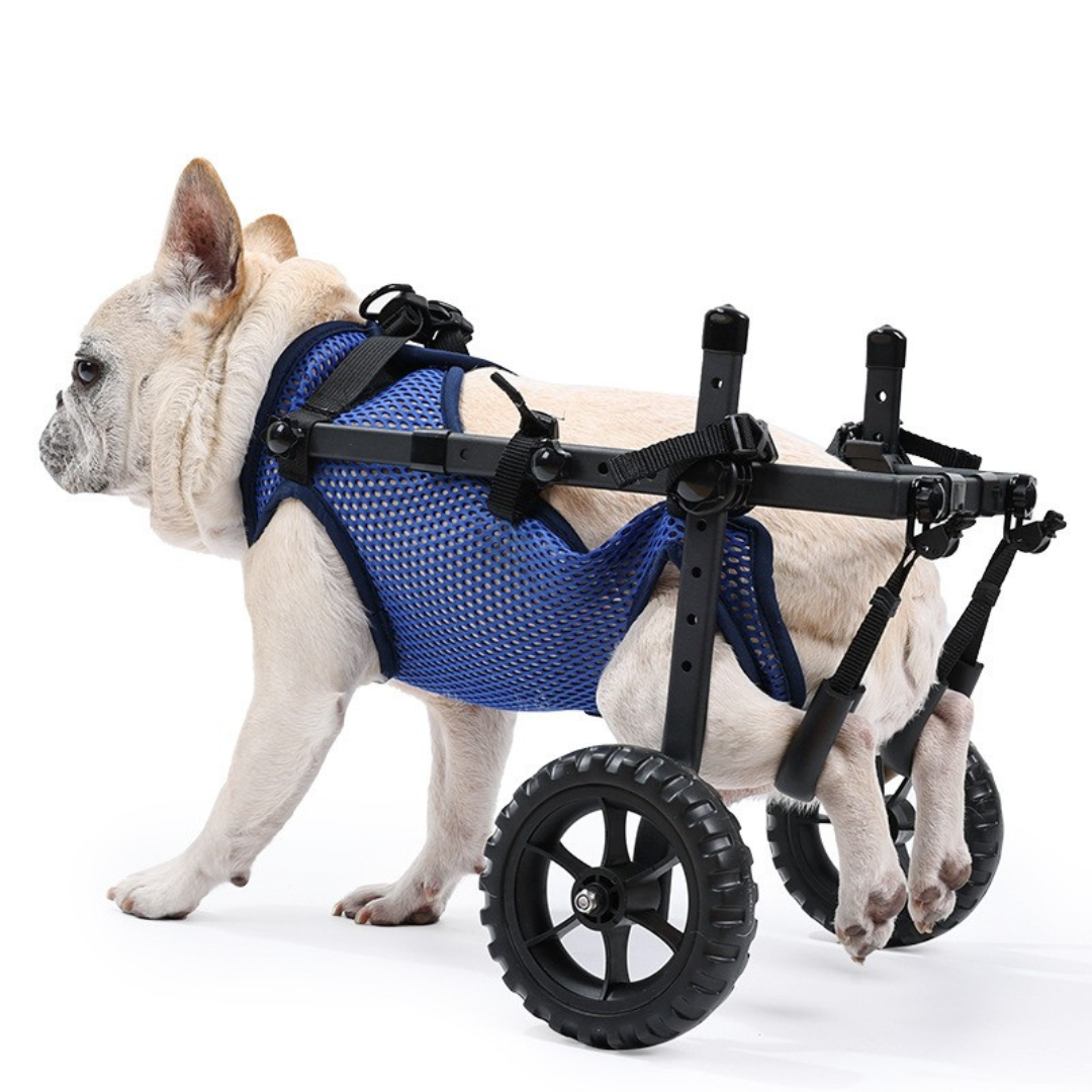 Dog Wheelchair for Small & Medium Dogs – Adjustable Rear & Full Body Support