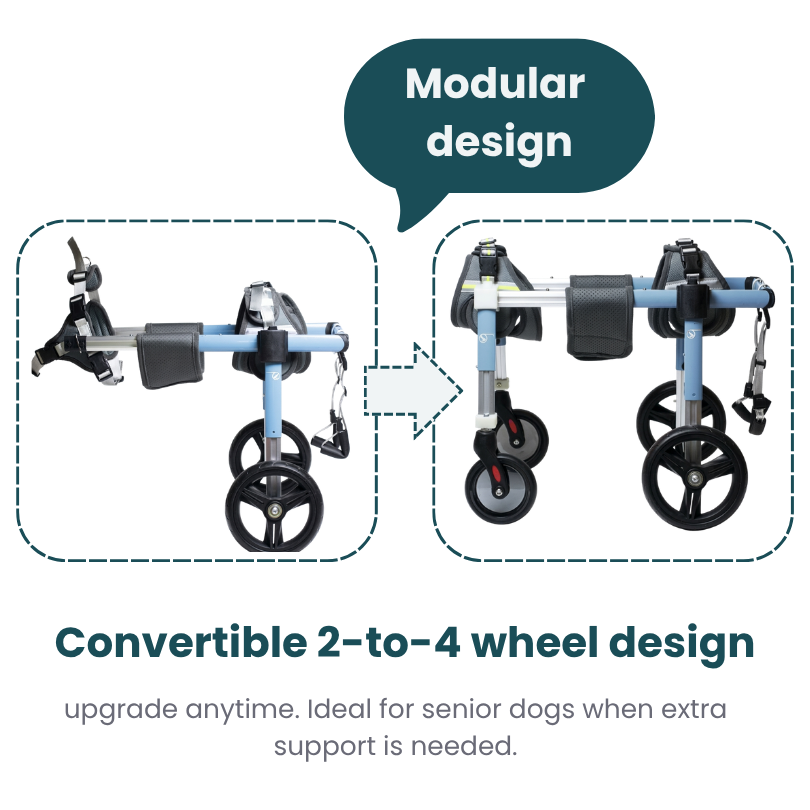 Convertible Wheelchair | 2-to-4 Wheel Support