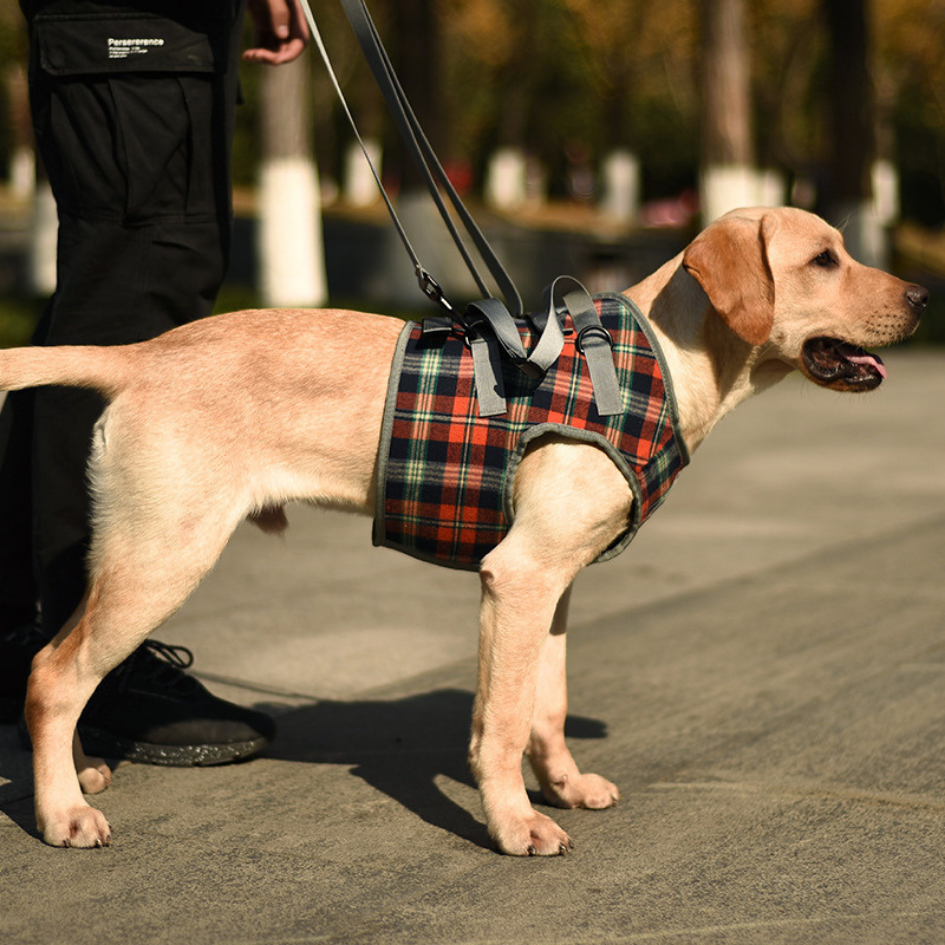 Front Support Harness | Mobility Aid