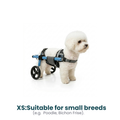Convertible Wheelchair | 2-to-4 Wheel Support