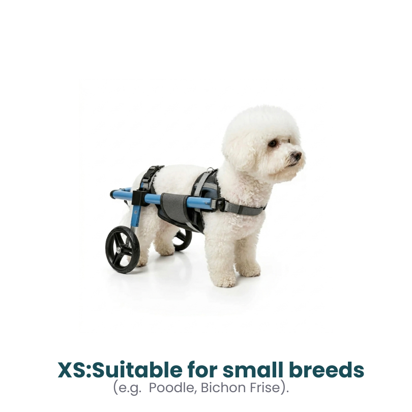 All-Sizes Dog Wheelchair: Adjustable for Full Body Support
