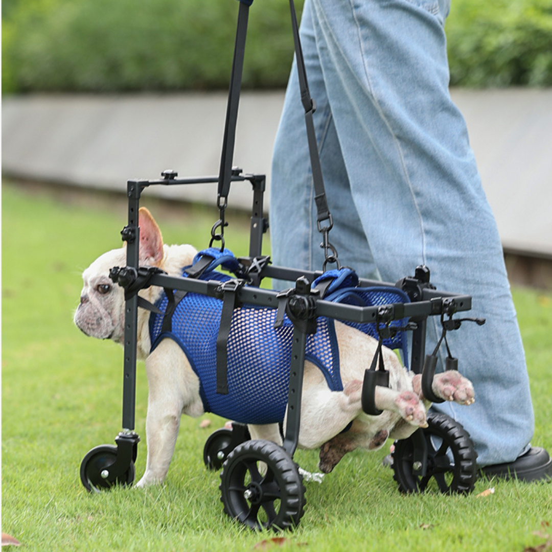Dog Wheelchair for Small & Medium Dogs – Adjustable Rear & Full Body Support
