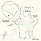 Adjustable Knee Brace | Joint Support