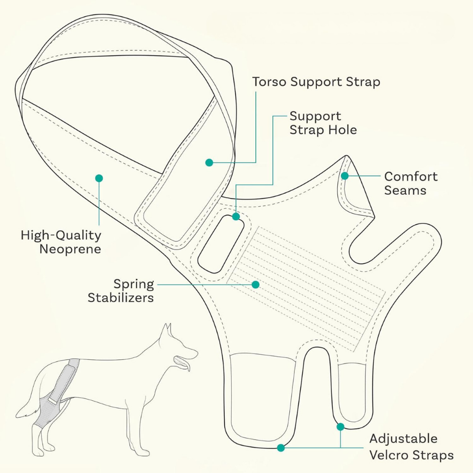 Adjustable Knee Brace | Joint Support