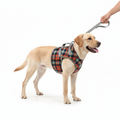Front Support Harness | Mobility Aid