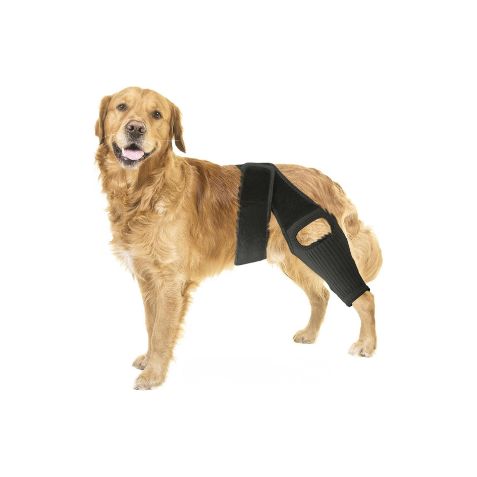 Adjustable Knee Brace | Joint Support