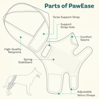 Adjustable Dog Knee Brace – Joint Support for Recovery, Stability & Daily Use