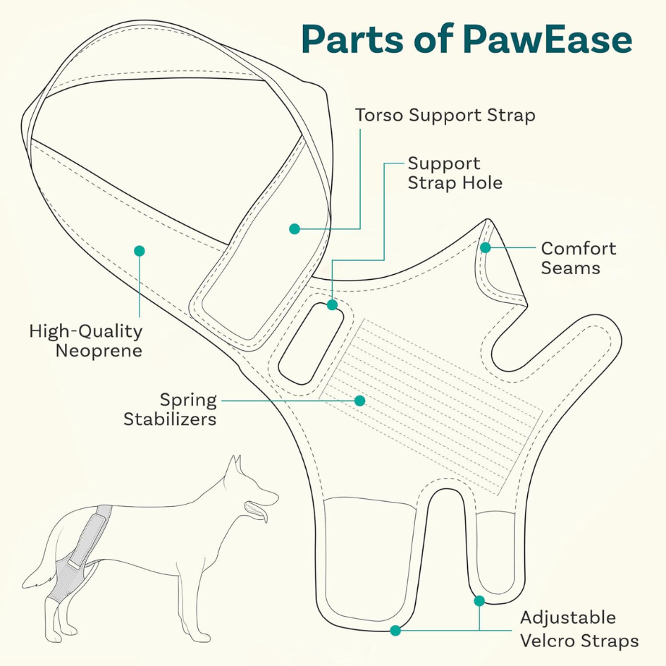 Adjustable Dog Knee Brace – Joint Support for Recovery, Stability & Daily Use