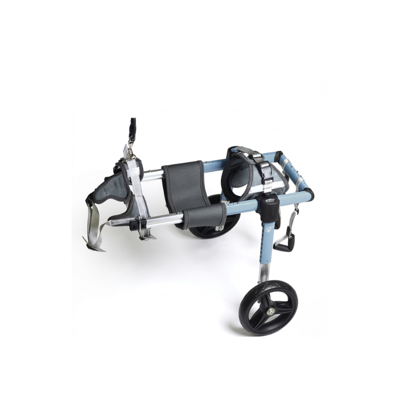 Convertible Wheelchair | 2-to-4 Wheel Support