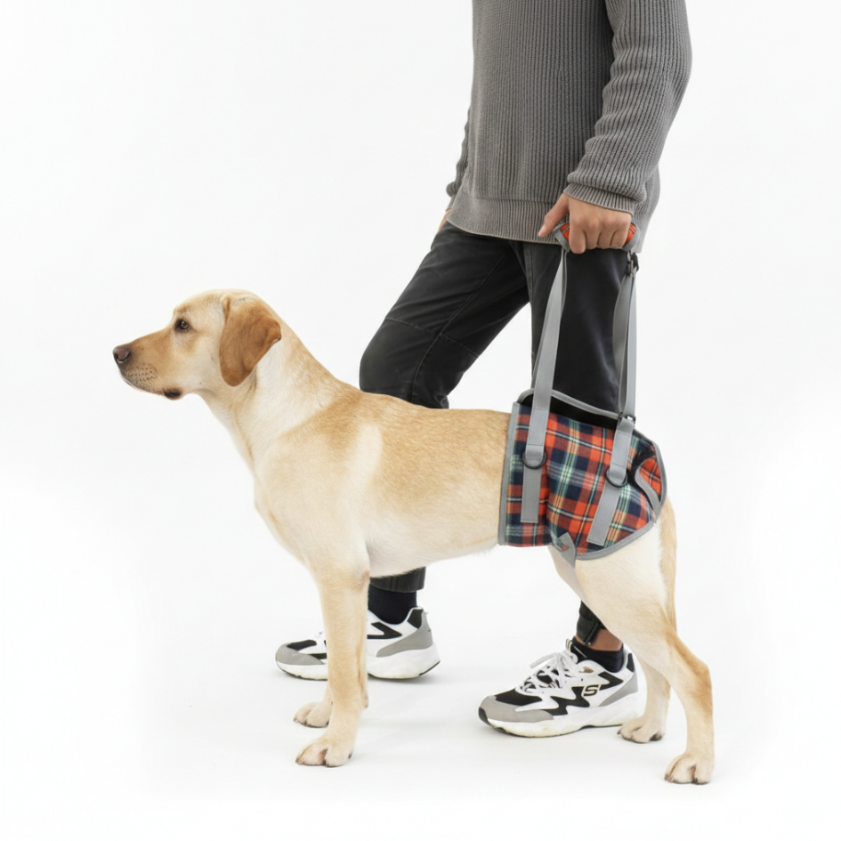 Rear Lift Harness | Mobility Aid
