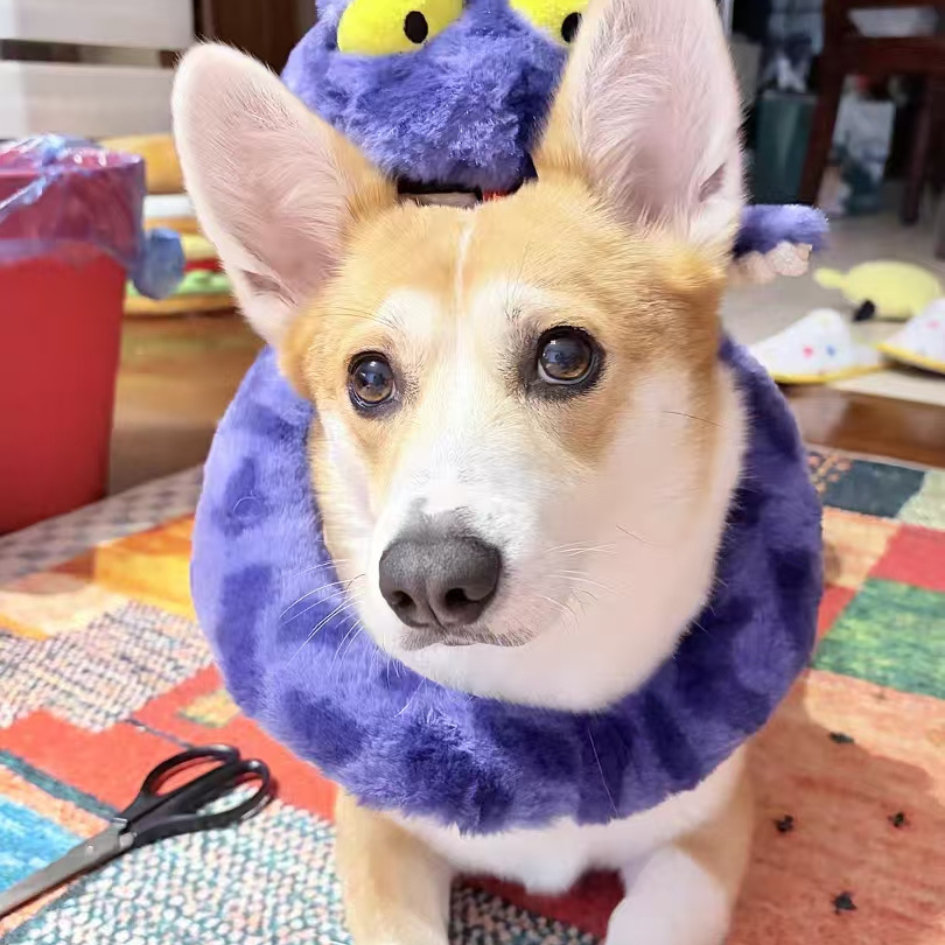 A little bit ridiculous, in the best way.