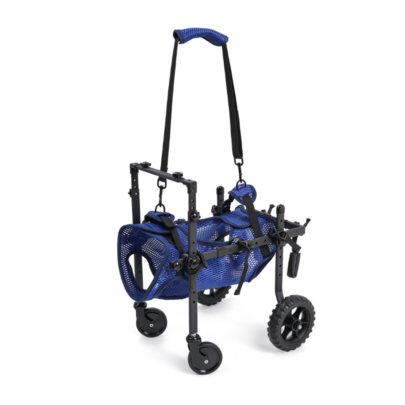 Dog Wheelchair | Full-Body Support