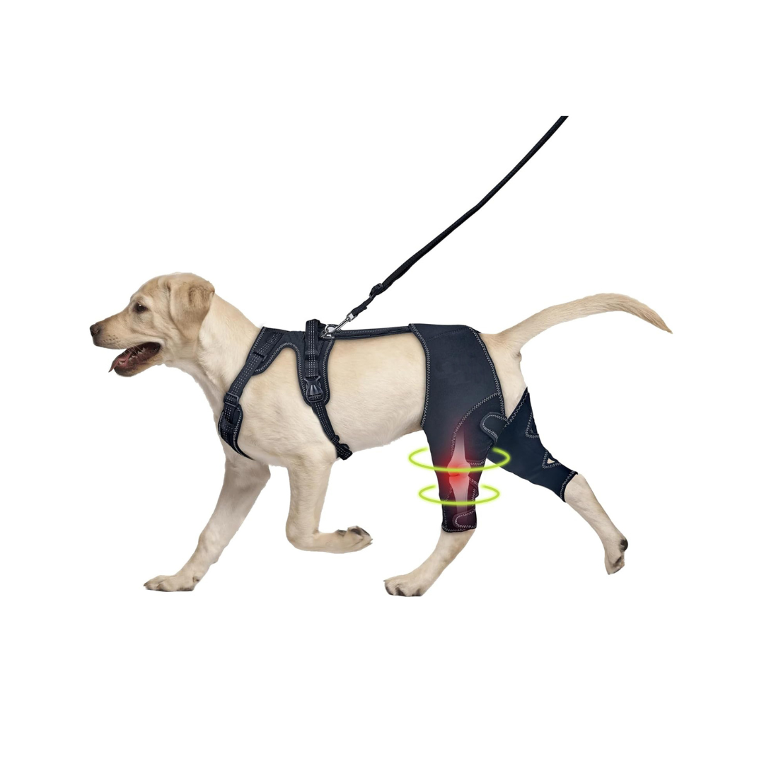 Knee & Joint Brace | Stability Support