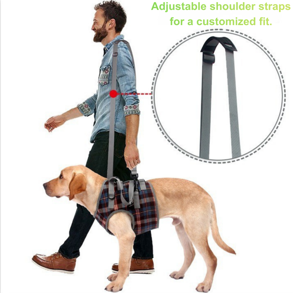 Rear Support Harness for Senior & Injured Dogs
