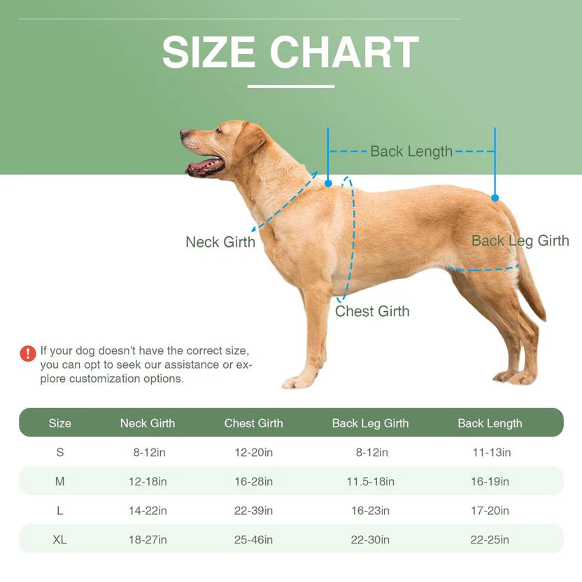 Dog Back Support Vest for Spinal Stabilization & Assisted Mobility