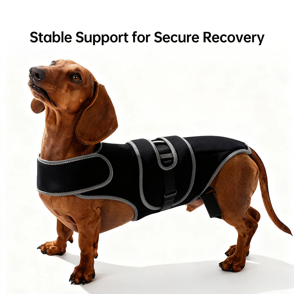 Dog Back Support Vest for Spinal Stabilization & Assisted Mobility