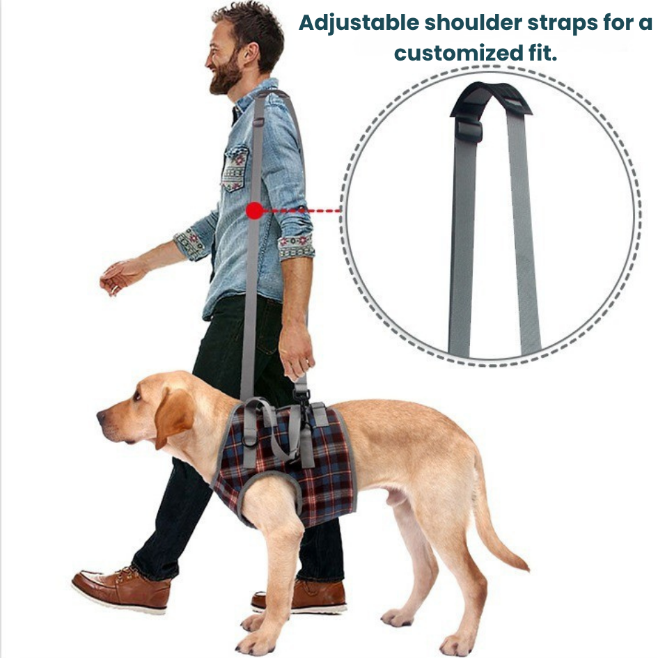 Rear Lift Harness | Mobility Aid