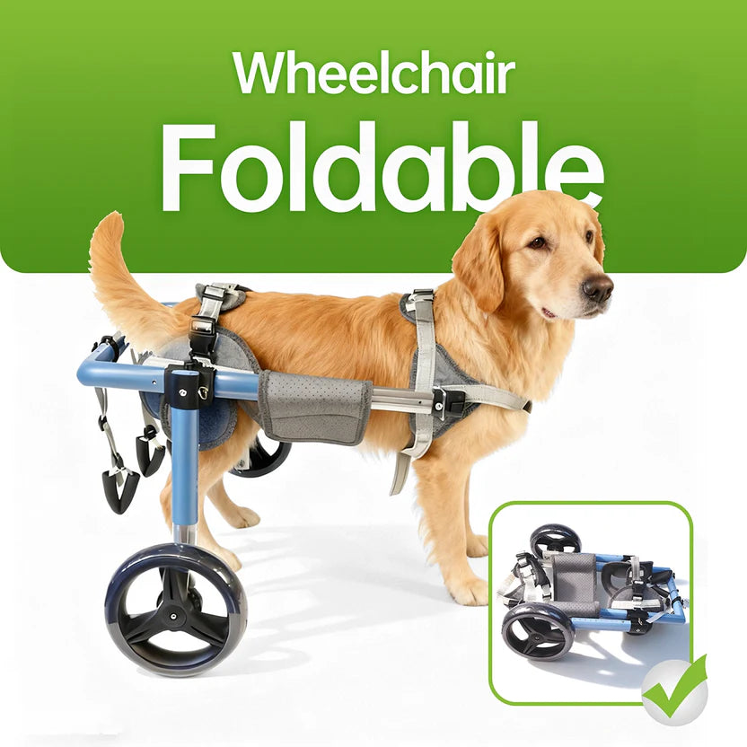Foldable Dog Wheelchair – Adjustable Rear & Full Body Support