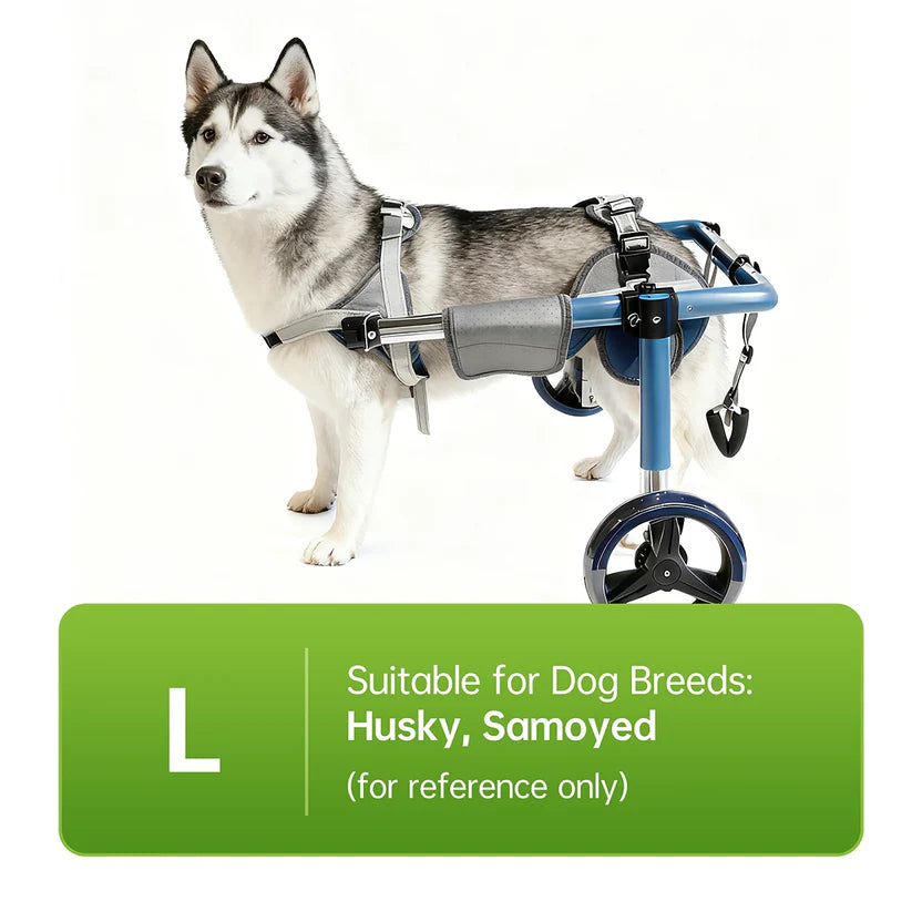 Foldable Dog Wheelchair – Adjustable Rear & Full Body Support