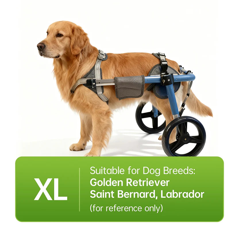Foldable Dog Wheelchair – Adjustable Rear & Full Body Support