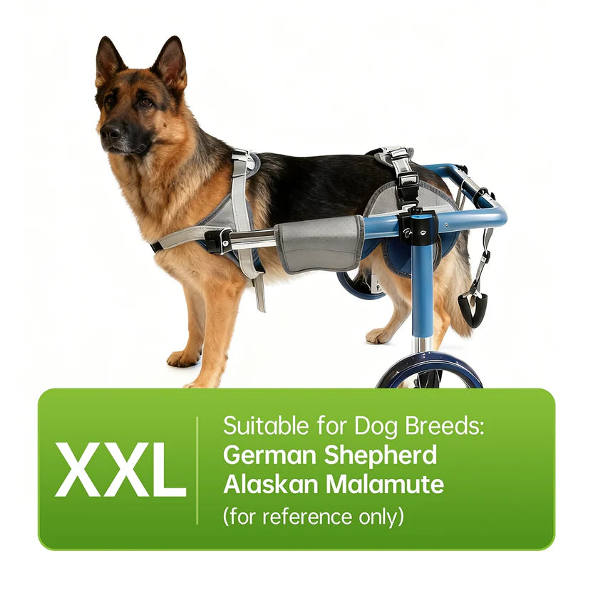 Foldable Dog Wheelchair – Adjustable Rear & Full Body Support