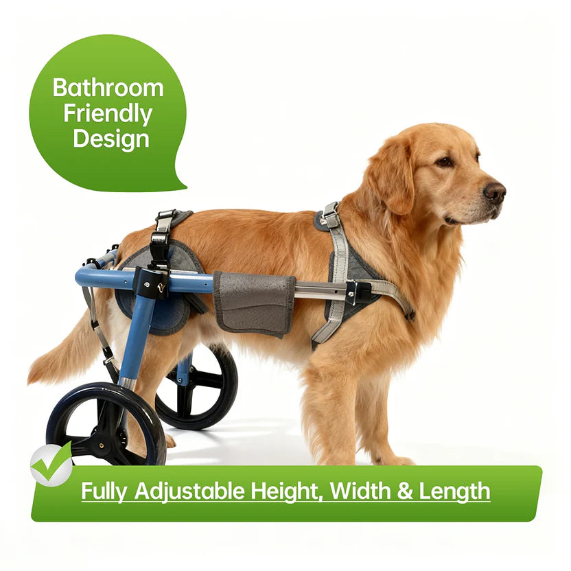 Foldable Dog Wheelchair – Adjustable Rear & Full Body Support