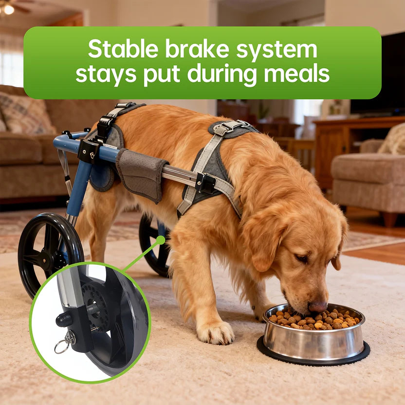 Foldable Dog Wheelchair – Adjustable Rear & Full Body Support