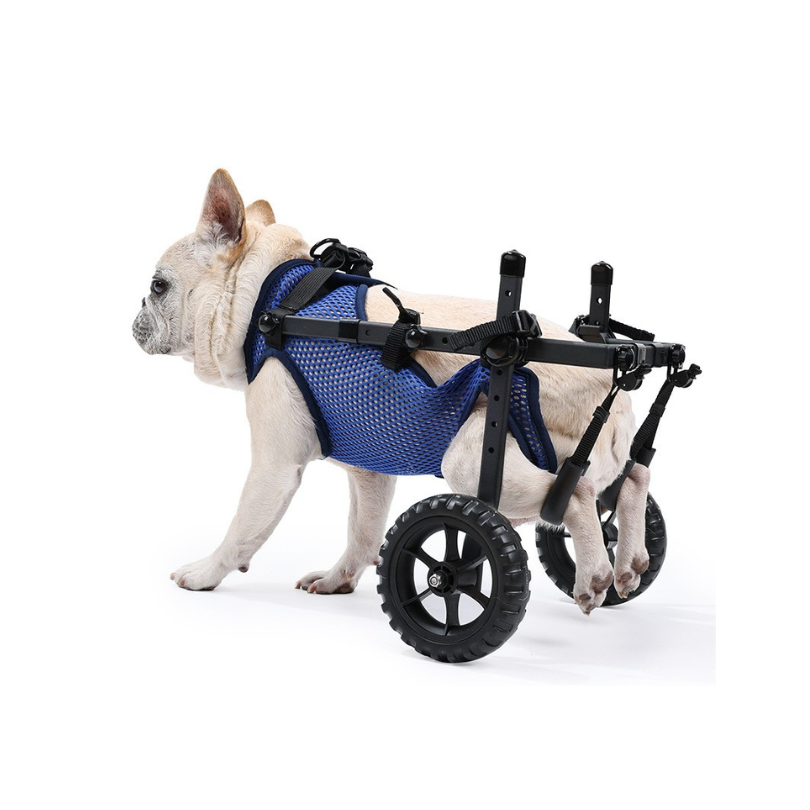 Dog Wheelchair | Full-Body Support