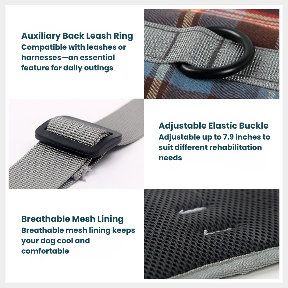 Front Support Harness | Mobility Aid