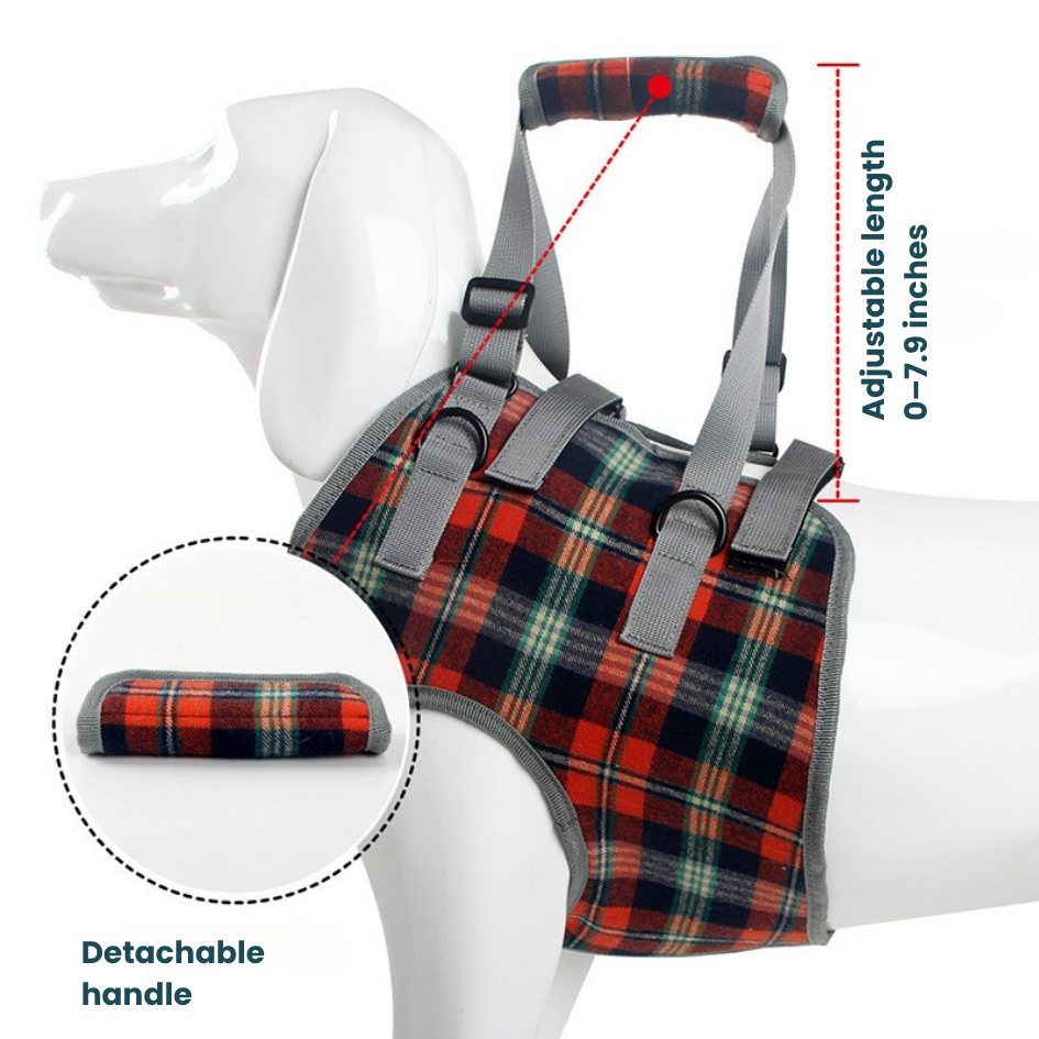 Front Support Harness | Mobility Aid