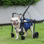 Dog Wheelchair | Full-Body Support