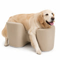 Supportive Dog Standing Stool for Senior Dogs
