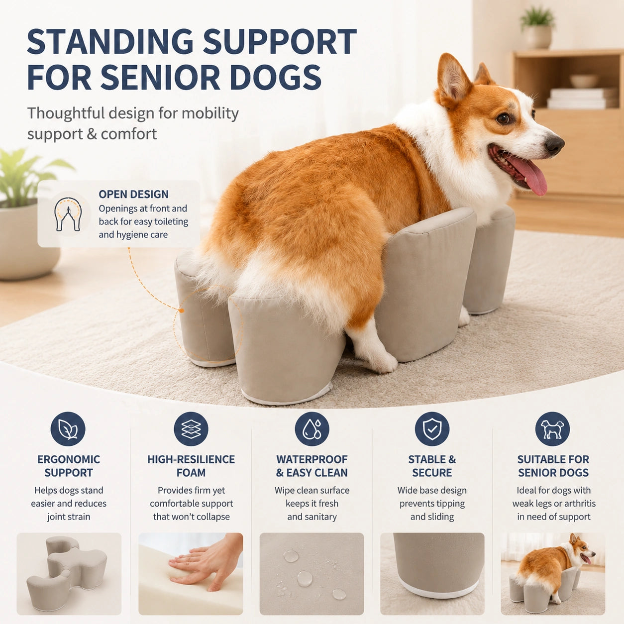 Supportive Dog Standing Stool for Senior Dogs