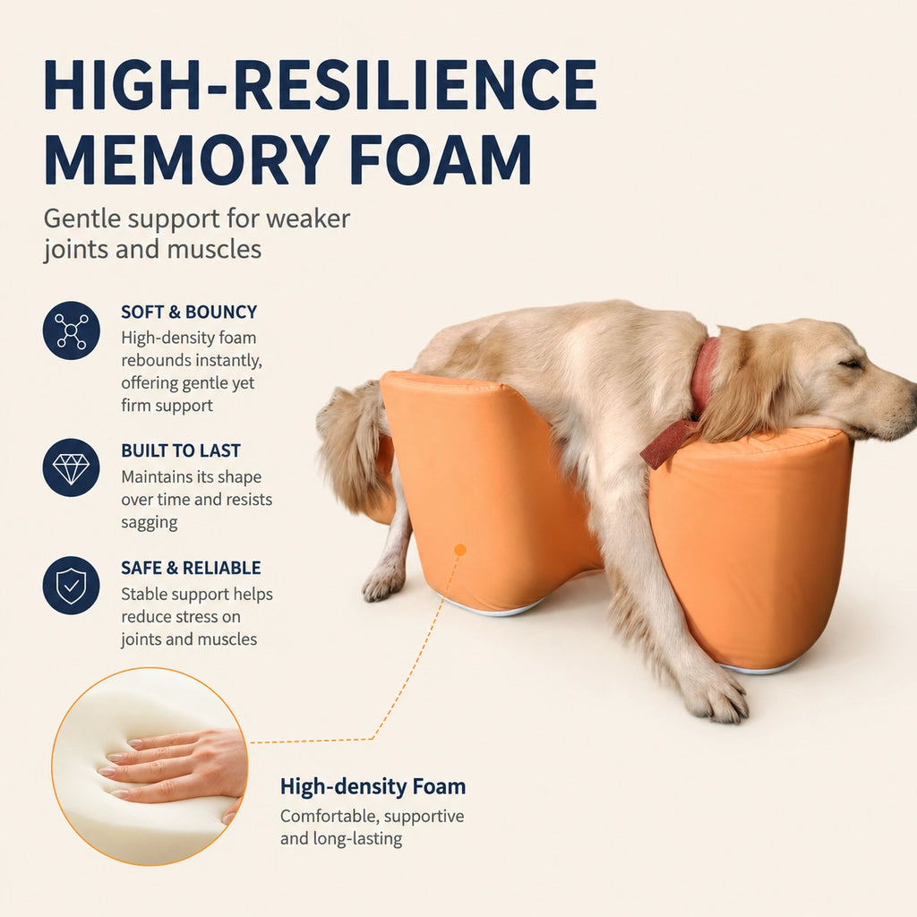 Supportive Dog Standing Stool for Senior Dogs