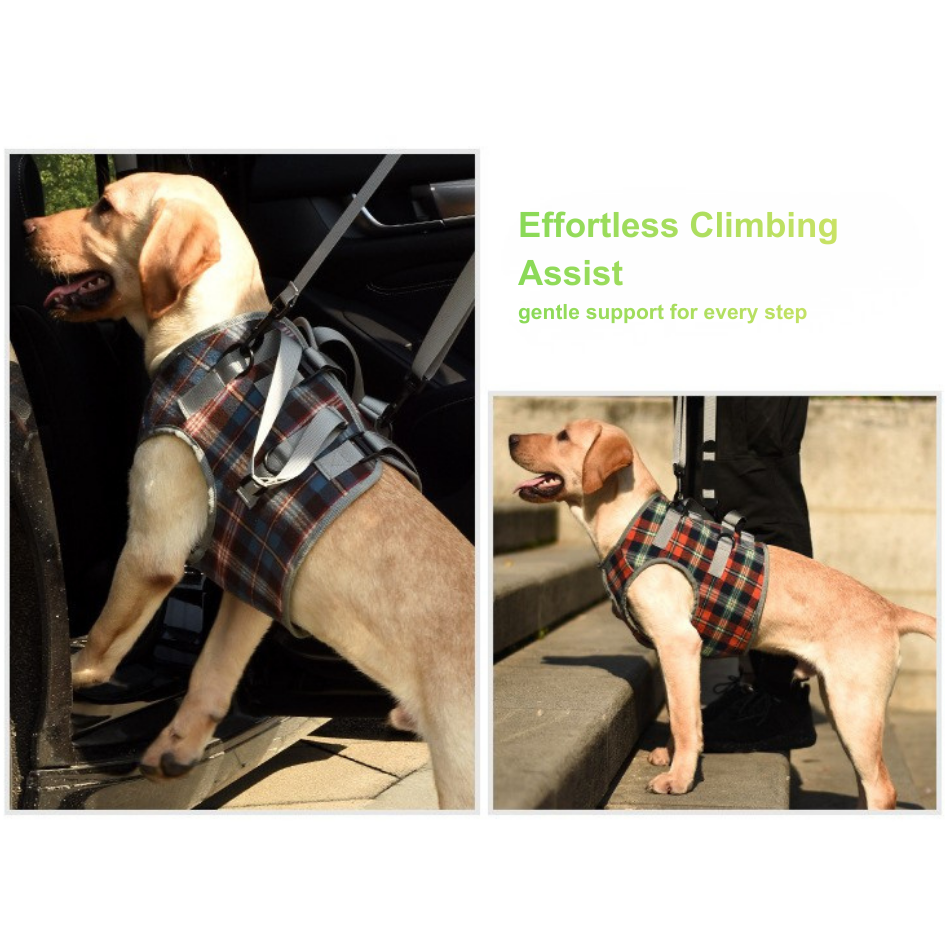 Front Support Harness for Senior & Injured Dogs
