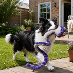 Daizy Snake Dog Toy – Soft Wrap-Around Chew Toy & Photo Prop