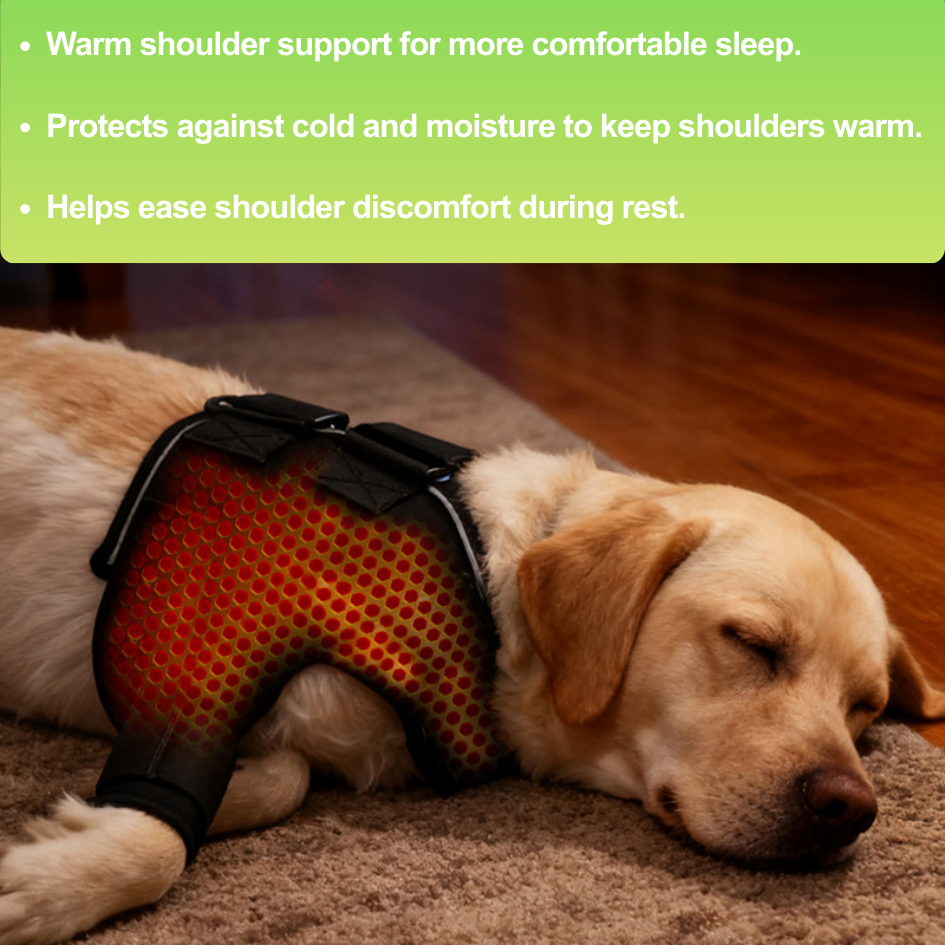Dog Front Leg Joint Support Brace for Senior & Injured Dogs – Shoulder Protection & Warmth