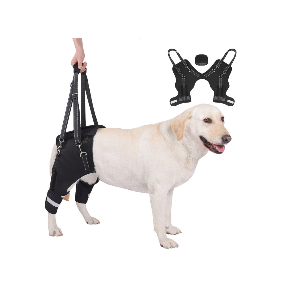 Rear Leg Support Harness for Senior & Injured Dogs