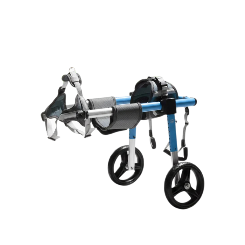 All-Sizes Dog Wheelchair: Adjustable for Full Body Support