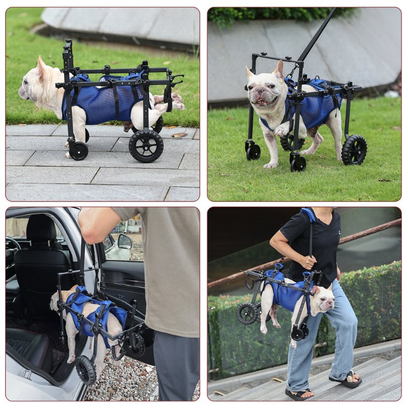 Dog Wheelchair | Full-Body Support