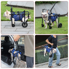 Dog Wheelchair | Full-Body Support