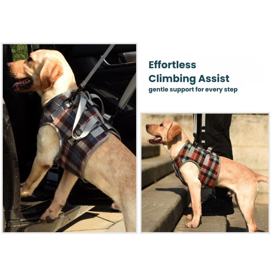 Rear Lift Harness | Mobility Aid