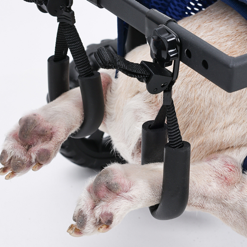 Dog Wheelchair | Full-Body Support