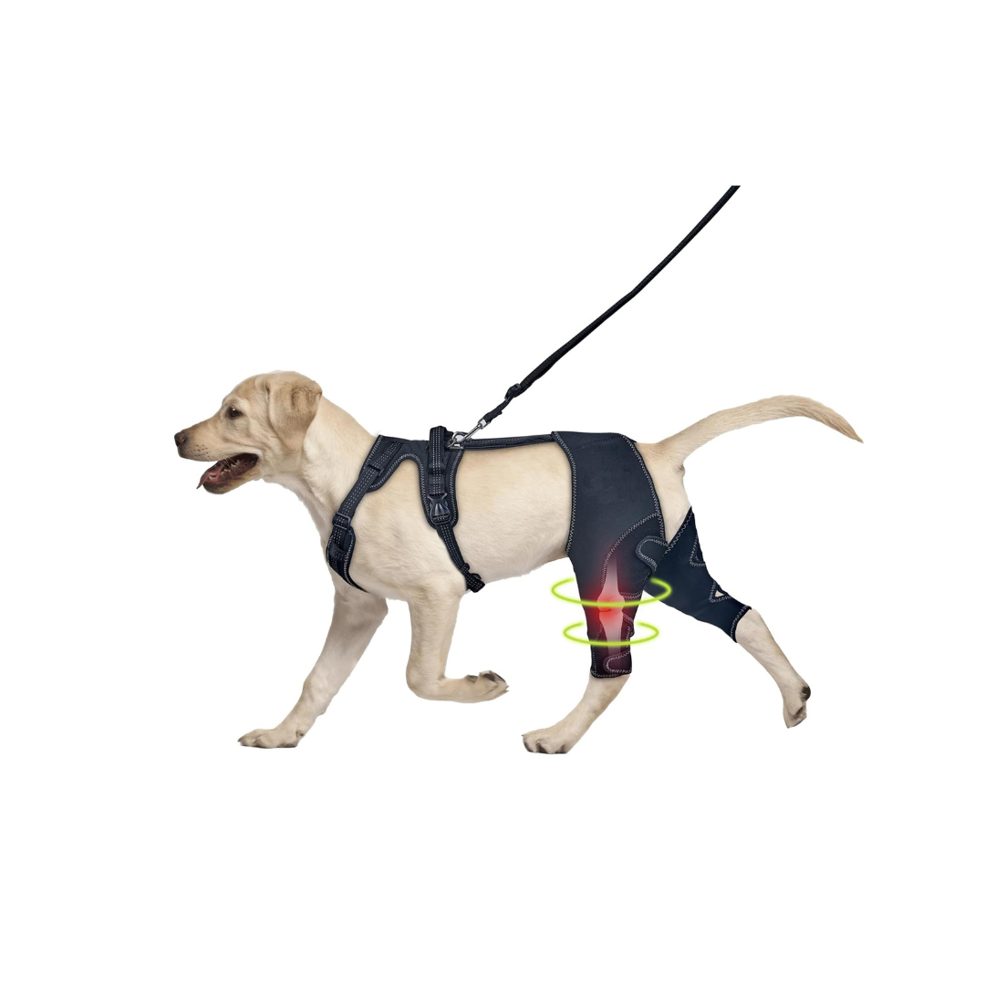 Dog Knee & Joint Support Brace – Warm, Stable Leg Protection for Senior Dogs