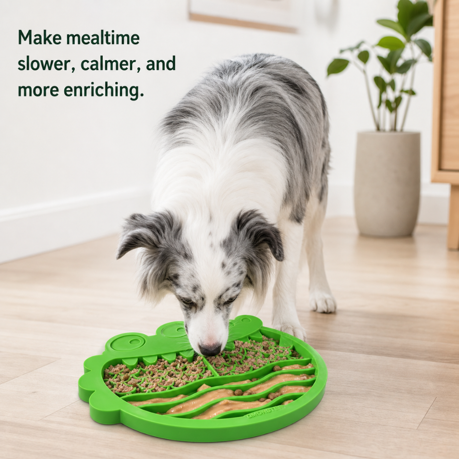 Crocodile Slow Feeder Dog Bowl