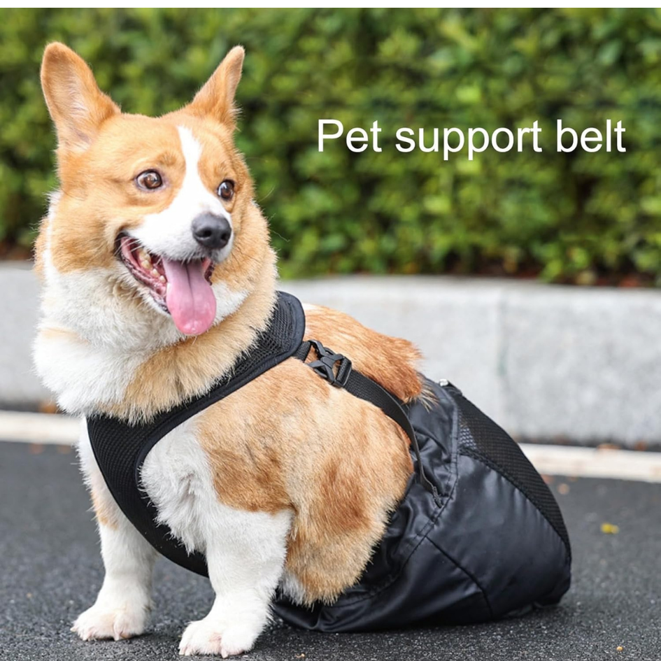 Drag Bag | Indoor Mobility Support