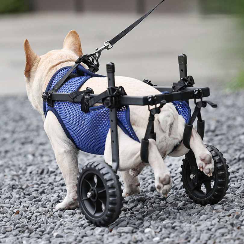 Dog Wheelchair | Full-Body Support
