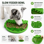 Crocodile Slow Feeder Dog Bowl