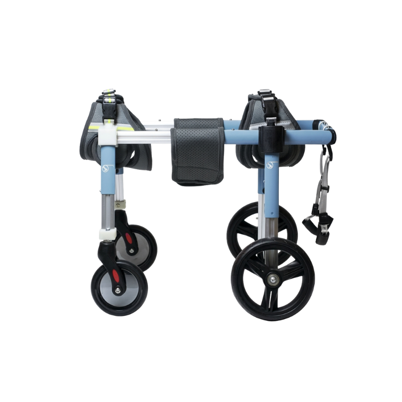 Convertible Wheelchair | 2-to-4 Wheel Support